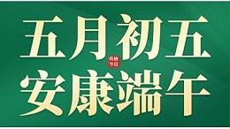 五月五，迎端午，赛龙舟，粽飘香